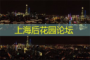 上海的夜市：吃货的天堂