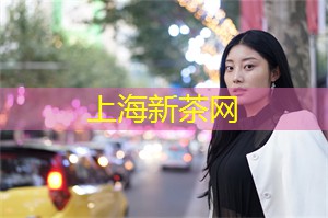 上海车展：汽车与娱乐的交融